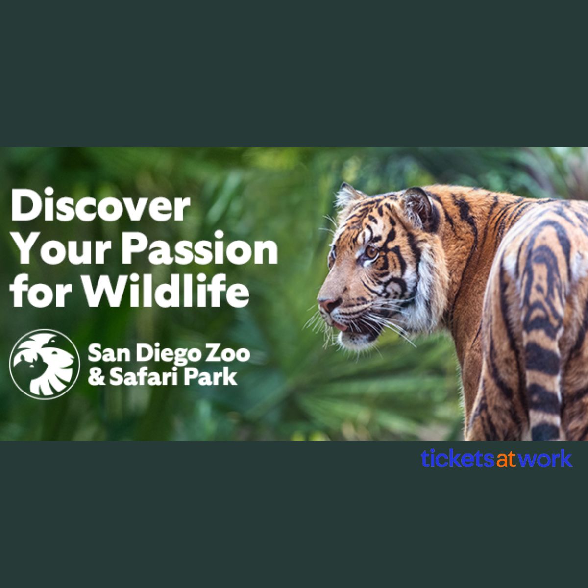 sandiego-zoo-175.jpg